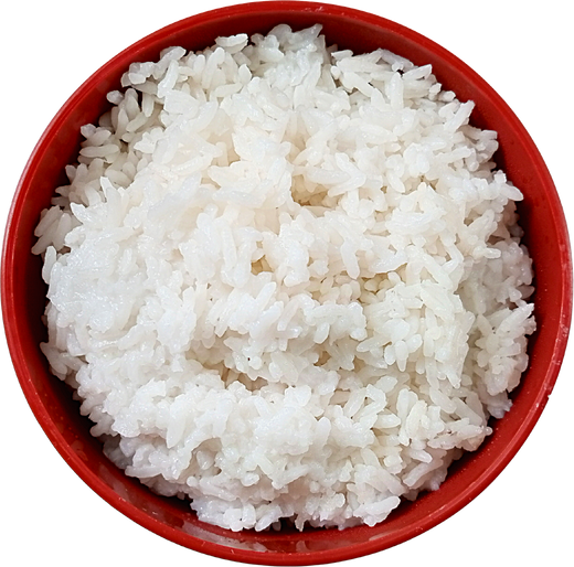 Rice Bowl